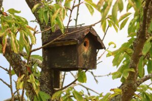 Vogelhäuschen im Garten